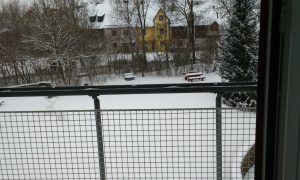 Bavarian winter from my balcony. 