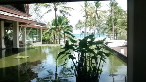 The lotus pond at the resort and a glimpse of the sea
