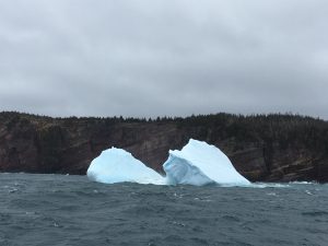 Icebergs in canada