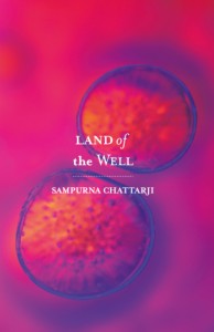 Book review of Sampurna Chattarji’s Land Of The Well