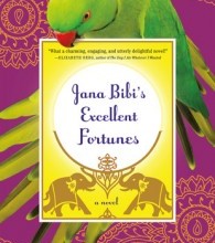Jana Bibi's Excellent Fortunes by Betsy Woodman