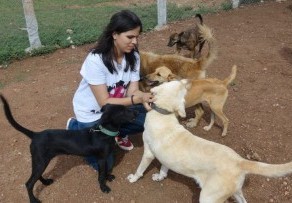 Mansi Jaysal: The Great Indian Dog Project