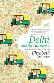 delhi mostly harmless