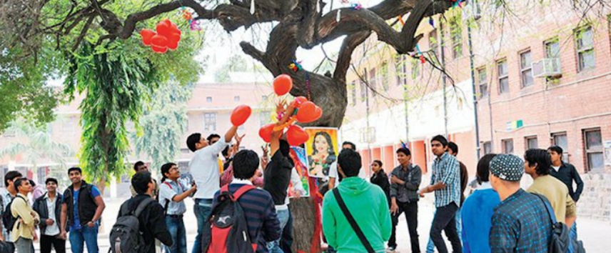 Virgin Tree Puja